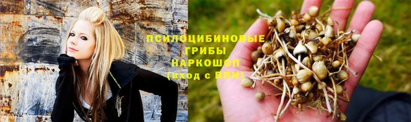 скорость Алзамай
