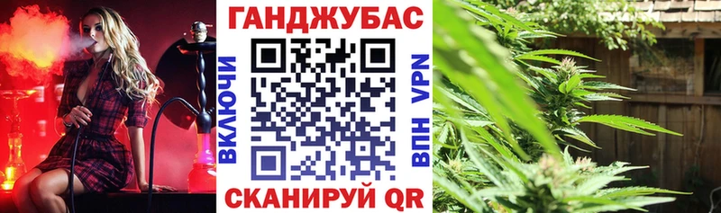 мега онион  Весьегонск  Бошки марихуана семена 